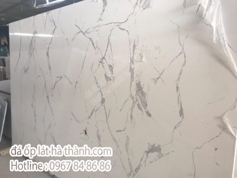 da-nhan-tao-004