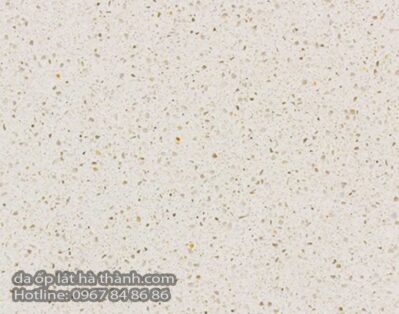 da-nhan-tao-vicostone-BQ900