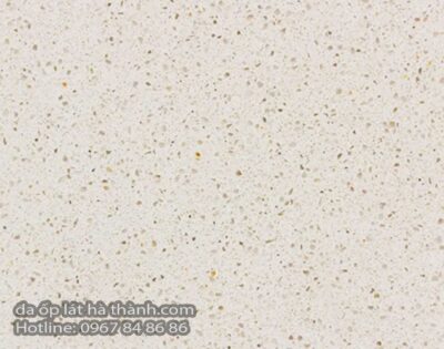 da-nhan-tao-vicostone-BQ900