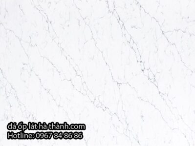 da-nhan-tao-vicostone-bq 8660