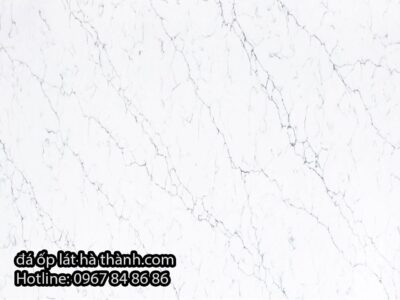 da-nhan-tao-vicostone-bq 8660